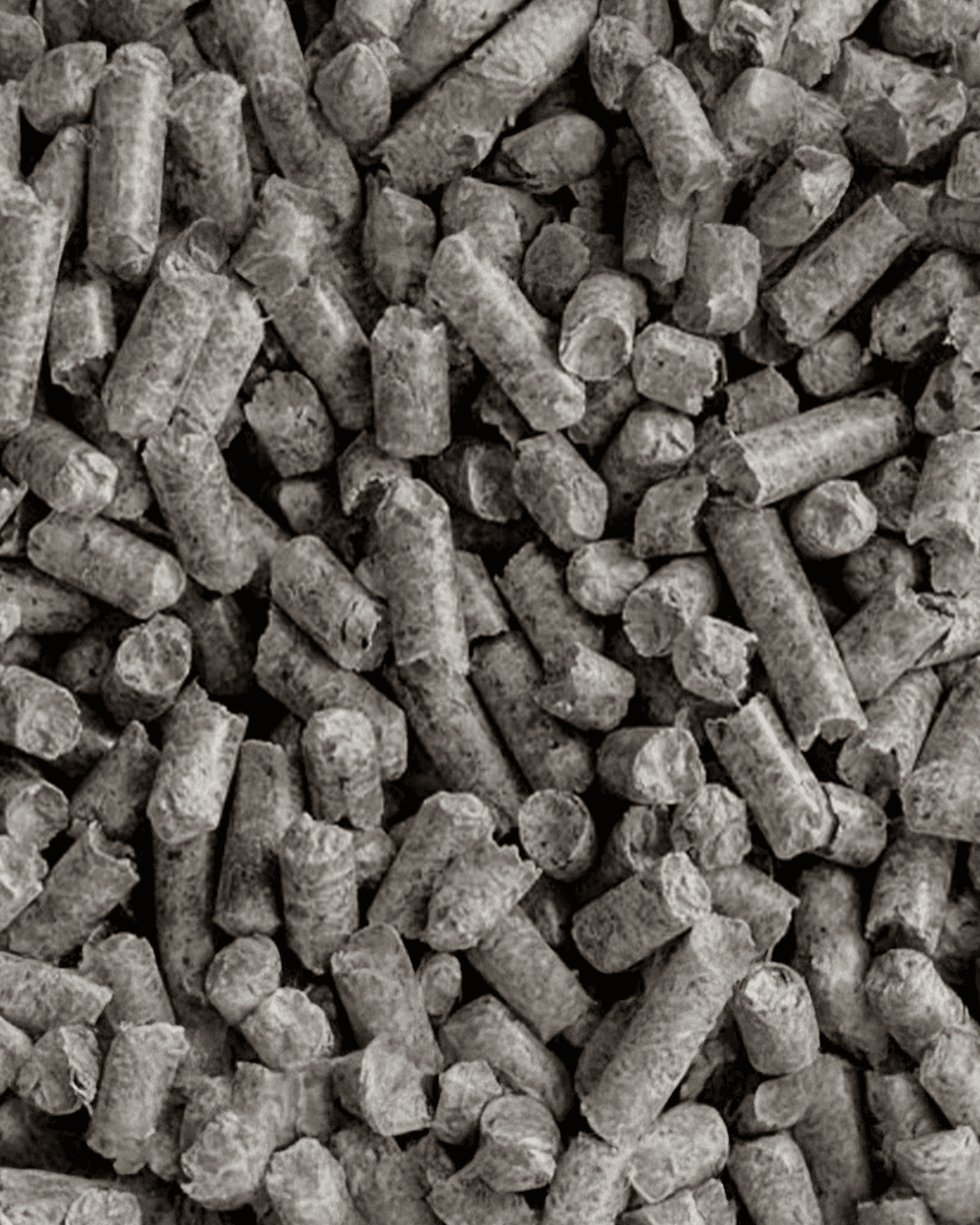 Sugar Beet Pellets